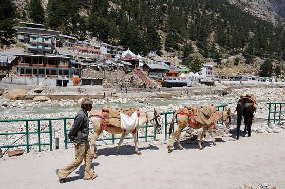 गंगा में मिला खतरनाक बैक्टीरिया, एंटीबायोटिक दवाएं भी हो जाएंगी फेल!