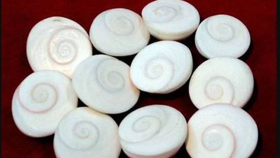 नए साल के आने से पहले घर ले आइए ये 10 चीजें, 2020 में होगा मंगल ही मंगल