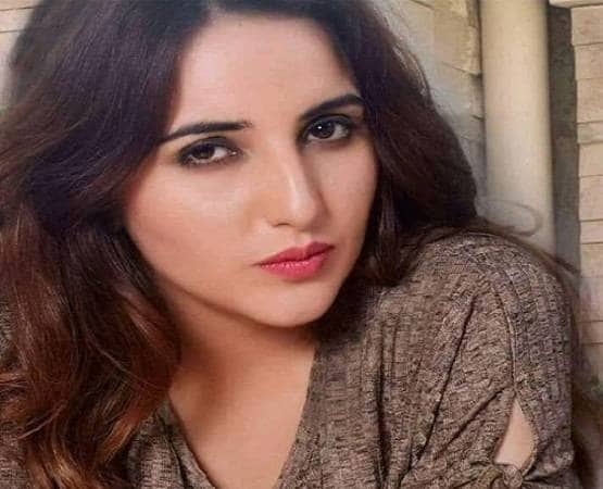 अश्लील चैट में फंसे पाक रेल मंत्री, वीडियो कॉल वायरल