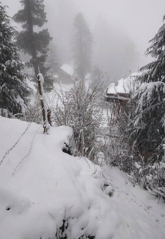 दिल्ली में ओले-पहाड़ों पर बर्फबारी, औली में ऐसा दिखा नजारा