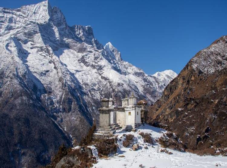 दिल्ली की जहरीली हवा से होने वाली खांसी का रामबाण इलाज है ये 'जूफा'