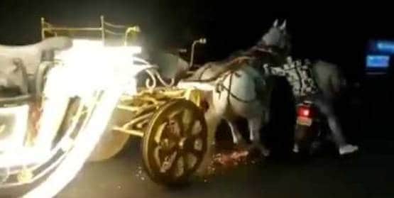 सड़कों पर गाड़ियों के बीच बेकाबू होकर दौड़ने लगे घोड़े, फिर...