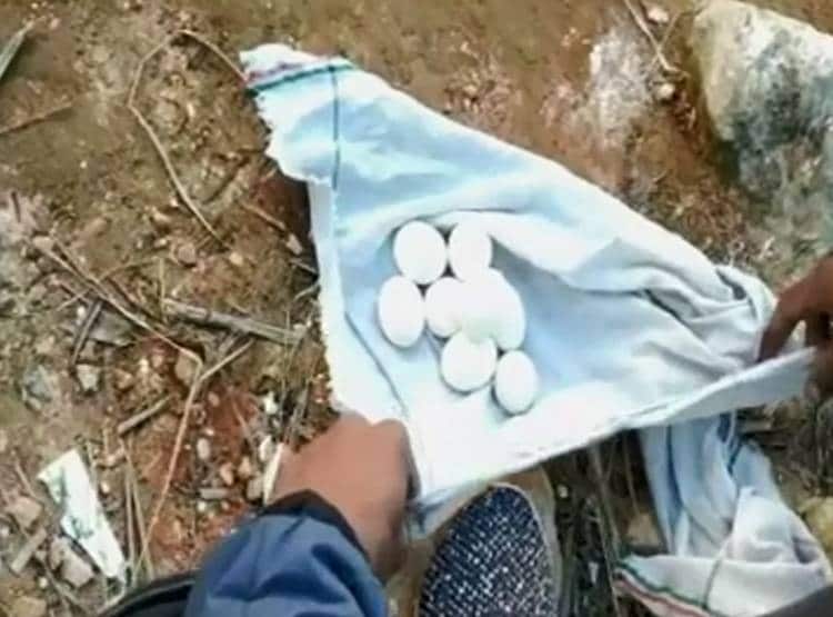 पहाड़ी के नीचे उबलता पानी बना रहस्य, लोग उबाल रहे अंडे