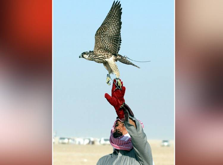 2 करोड़ के लिए खाड़ी देशों के अमीरों के आगे इमरान ने टेके घुटने, किया ये सौदा
