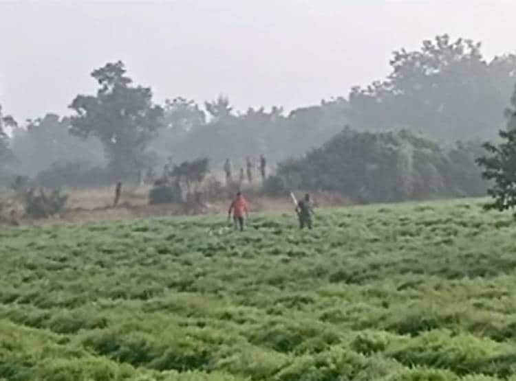 ज‍िस हाइवे पर हुआ था गैंगरेप, उसी पर चारों आरोप‍ियों का एनकाउंटर