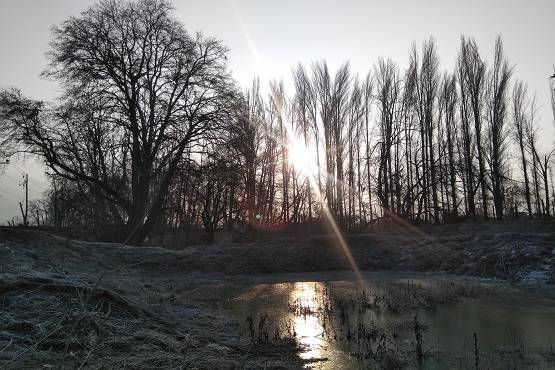 ठंड के कहर से जम गई झील, उत्तर भारत में और बढ़ेगी ठिठुरन