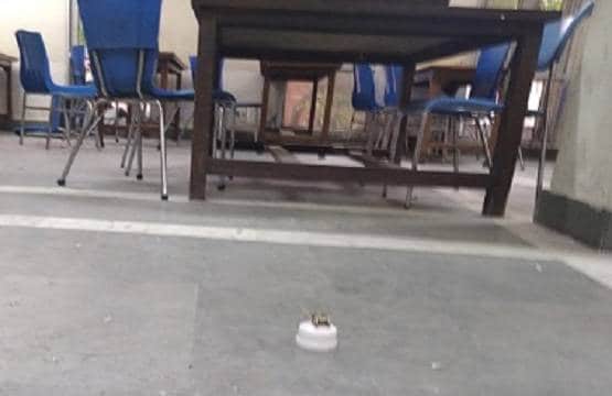 देखें, बवाल से कैसे बर्बाद हुई जामिया की लाइब्रेरी, सामने आई तस्वीरें