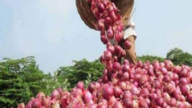 विदेश से पहुंचा 790 टन प्याज, भेजा गया आंध्र और दिल्ली