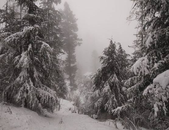 दिल्ली में ओले-पहाड़ों पर बर्फबारी, औली में ऐसा दिखा नजारा