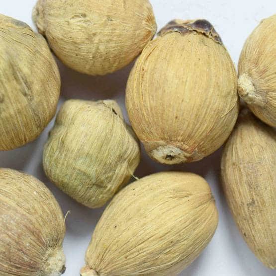 नए साल के आने से पहले घर ले आइए ये 10 चीजें, 2020 में होगा मंगल ही मंगल