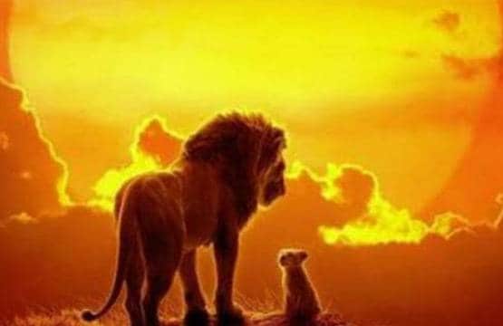 2019 में दिखी हॉलीवुड फिल्मों के लिए दीवानगी, ये फिल्में रही सुपरहिट