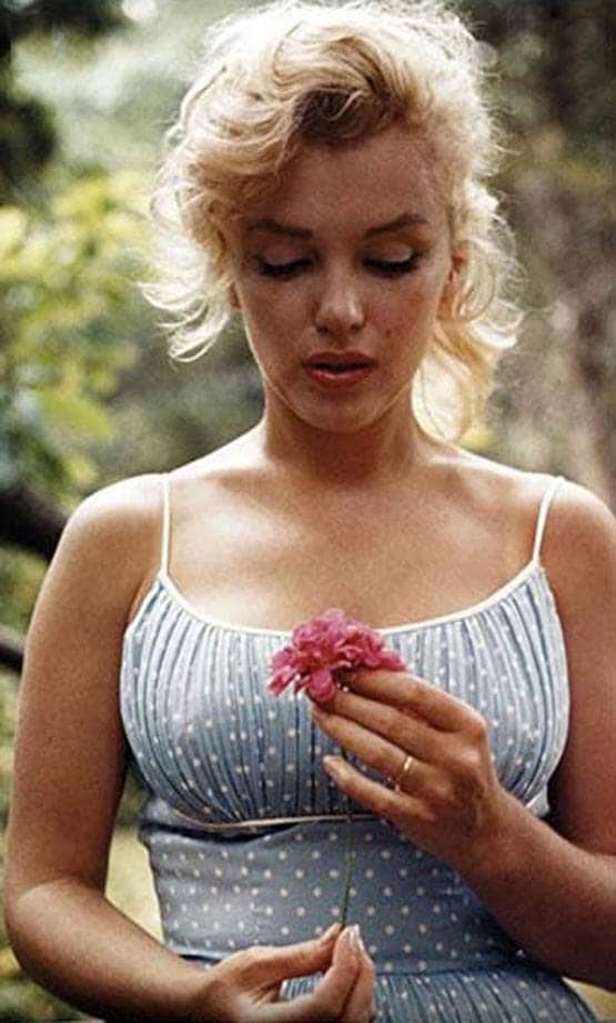 अभिनेत्रियां जिन्होंने Playboy के लिए किया शूट, भारतीय भी शामिल