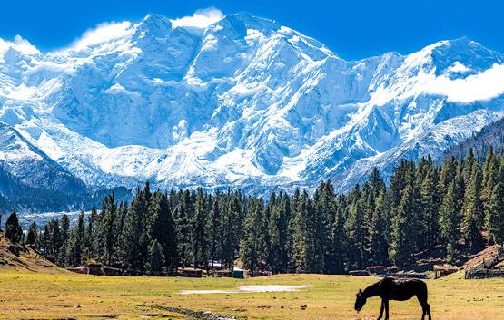 एवरेस्ट से ज्यादा खतरनाक हैं ये 9 पहाड़, यहां भी लाशें दिखाती हैं रास्ता