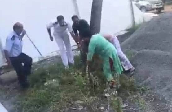 घर के पास दिखा अजगर, दिलेर महिला ने हाथ से पकड़कर बैग में रख दिया