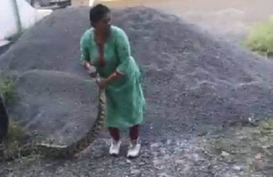 घर के पास दिखा अजगर, दिलेर महिला ने हाथ से पकड़कर बैग में रख दिया