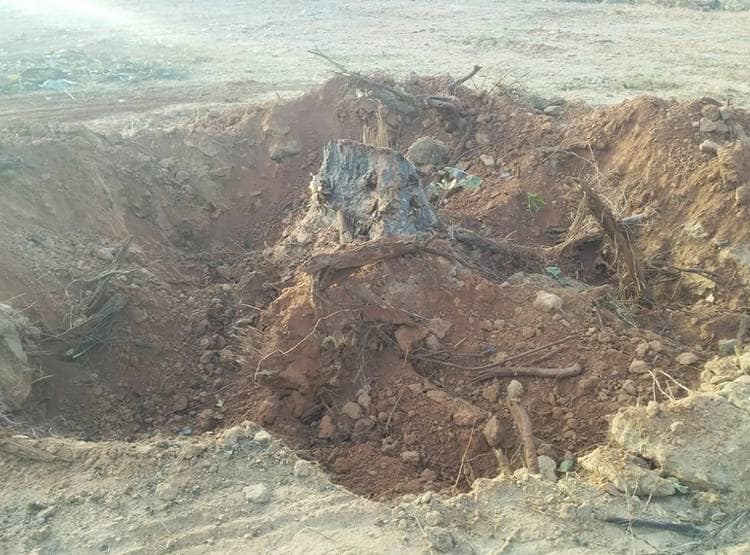 कोयला प्रोजेक्ट के लिए पुलिस ने जंगल को घेरा, काटे गए 40 हजार पेड़