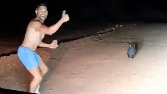 छोटे से जीव की हत्या कर हंसने लगा पुलिस अफसर, बर्खास्त करने की मांग