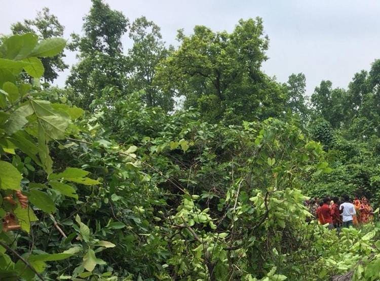 कोयला प्रोजेक्ट के लिए पुलिस ने जंगल को घेरा, काटे गए 40 हजार पेड़