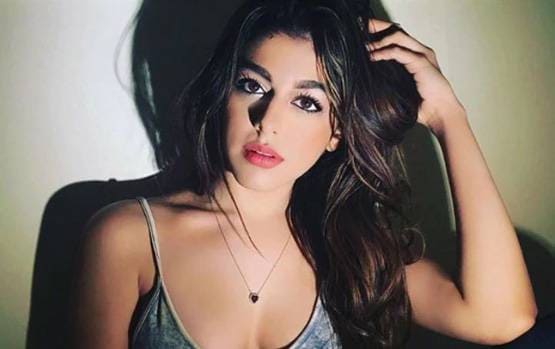 आर्यन से खुशी तक, 2020 में बॉलीवुड में एंट्री कर सकते हैं ये स्टारकिड्स