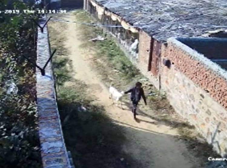 बकरी बचाने के लिए 8 साल की मासूम अड़ी, रेप के बाद बेरहमी से की हत्या