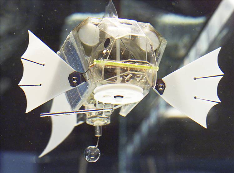 इंसानों की नौकरी खतरे में, रोबोट मजदूर हर साल छीन रहे हैं इतने रोजगार