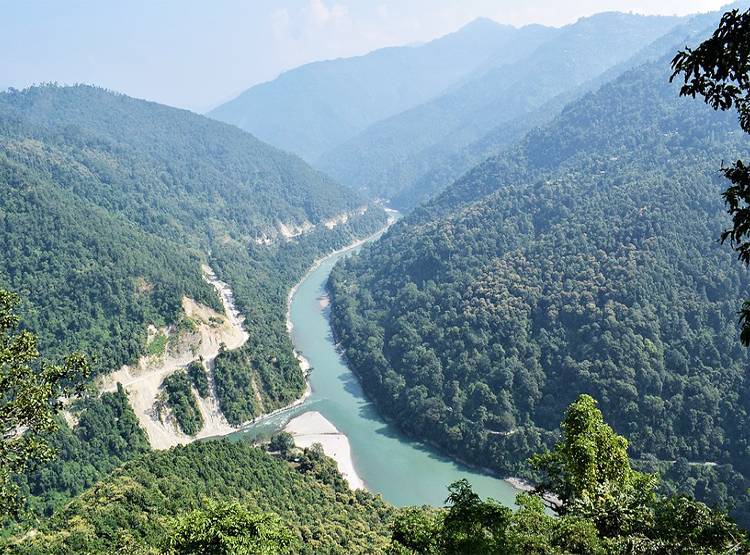 नई रिपोर्ट में खुलासा - भारत के इस राज्य में बढ़ा जंगल, यहां हुए कम