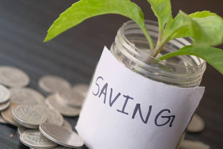 नए साल से इन 5 सरकारी स्कीम में करें निवेश, पैसा रहेगा सेफ