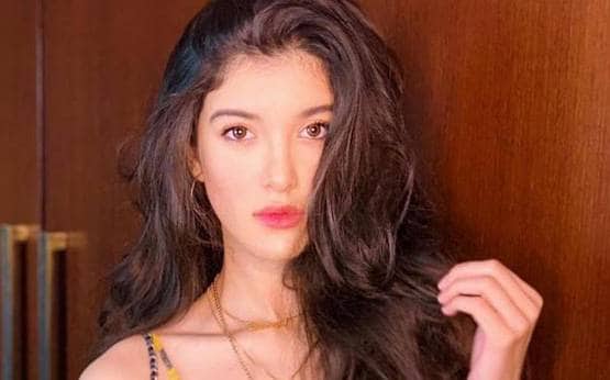 आर्यन से खुशी तक, 2020 में बॉलीवुड में एंट्री कर सकते हैं ये स्टारकिड्स