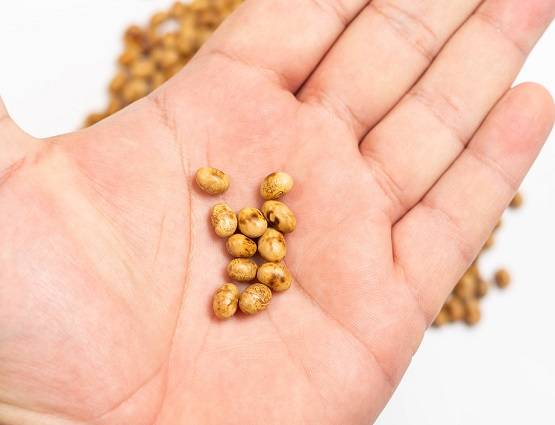 सेक्सुअल डिसफंक्शन से चाहिए राहत? ये खाने से होगा भरपूर रोमांस