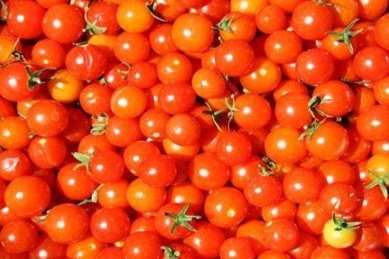 बेहाल PAK की तस्वीर! दाल 260 रुपये किलो, टमाटर 400 के पार