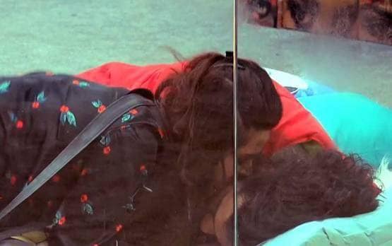 फेक है विशाल-मधुरिमा का रोमांस, बिग बॉस में टिकने के लिए ड्रामा?