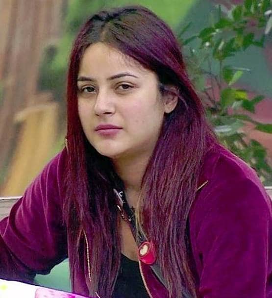 बिग बॉस: पारस के लिए फूट-फूटकर रोईं शहनाज, कहा- उससे प्यार करती हूं