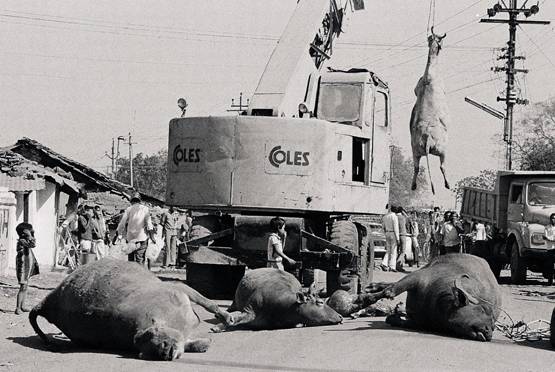 भोपाल गैस त्रासदी के 35 साल, हमें क्यों नहीं भूलना चाहिए ये हादसा