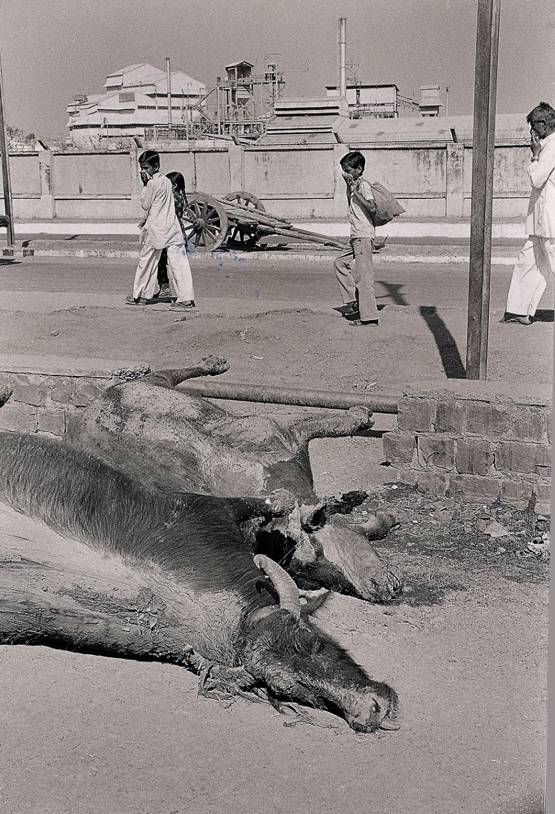 भोपाल गैस त्रासदी के 35 साल, हमें क्यों नहीं भूलना चाहिए ये हादसा