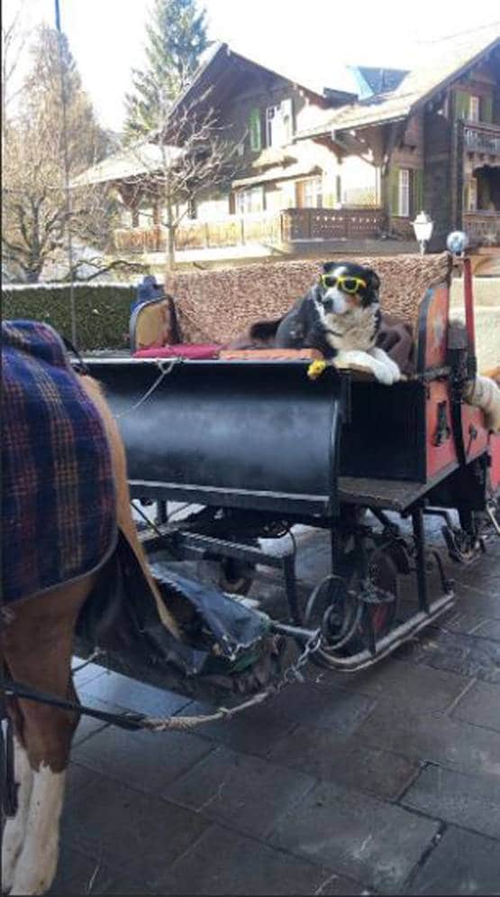 न्यू ईयर से पहले स्विजरलैंड पहुंचे वरुण, करीना-करिश्मा संग फोटो