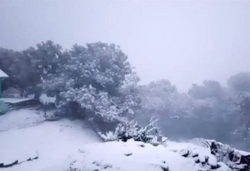 दिल्ली में ओले-पहाड़ों पर बर्फबारी, औली में ऐसा दिखा नजारा