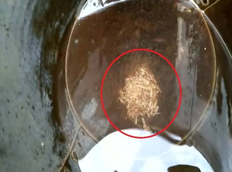 हैंडपंप से पानी की जगह निकल रहा खून, मांस-हड्डी, दहशत में लोग