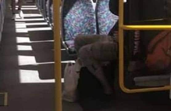 ट्रेन में कपल की अश्लील हरकत, पुलिस बोली- फोटो क्लियर नहीं