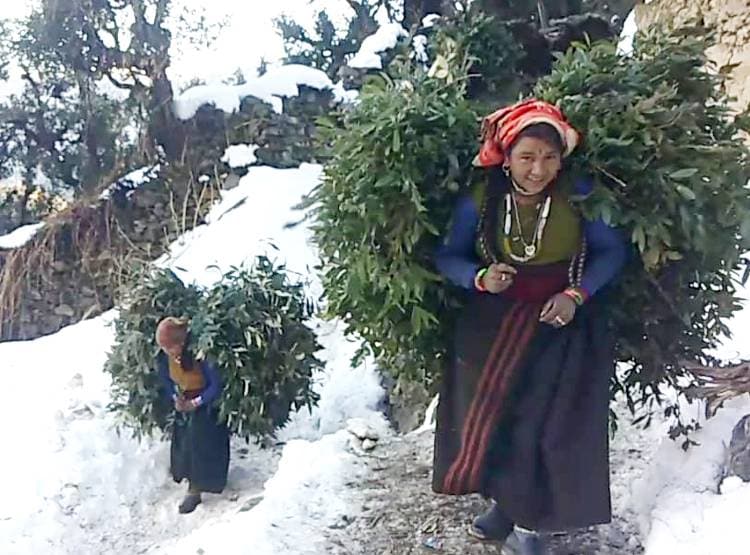 भारी बर्फबारी से अपने ही घरों में कैद लोग, सीढ़ीनुमा खेत बर्फ से हुए सफेद