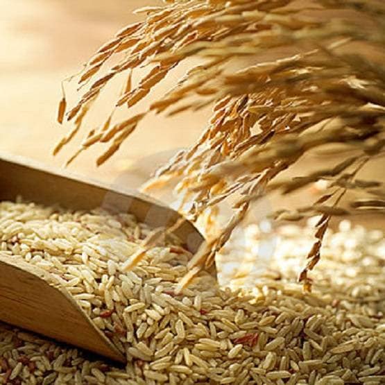 आपकी उम्र को 'ग्रहण' लगा रही खाने की ये 3 चीजें, घट रही लाइफ लाइन