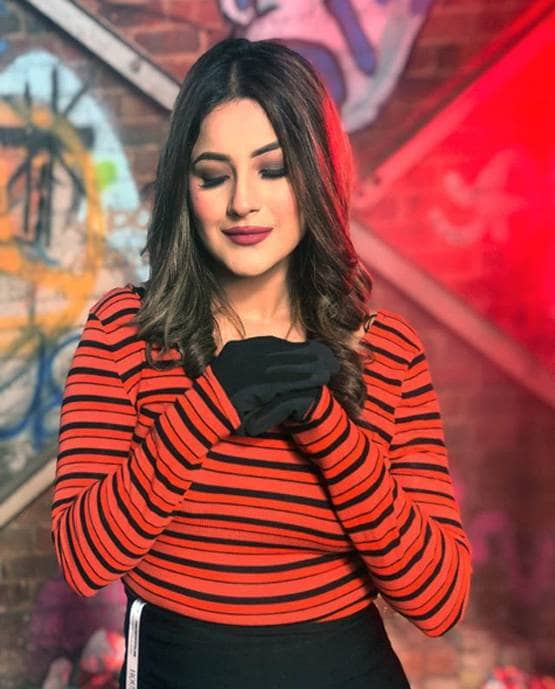 फैमिली वीक: पारस पर भड़के शहनाज के पिता, बताया बेटी का सबसे बड़ा दुश्मन