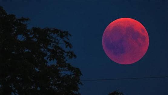 15 दिनों के भीतर ही दूसरा ग्रहण, देश-दुनिया में क्या मचेगी उथल-पुथल?