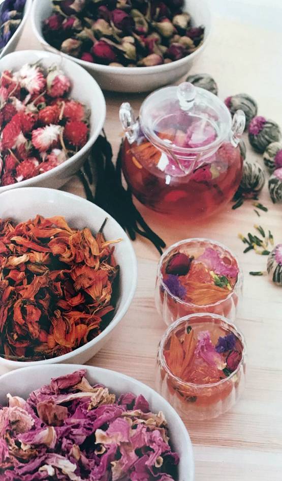 पुस्तक समीक्षा: फूलों से महकती भारतीय संस्कृति की कहानी है ‘फ्लावर शॉवर’