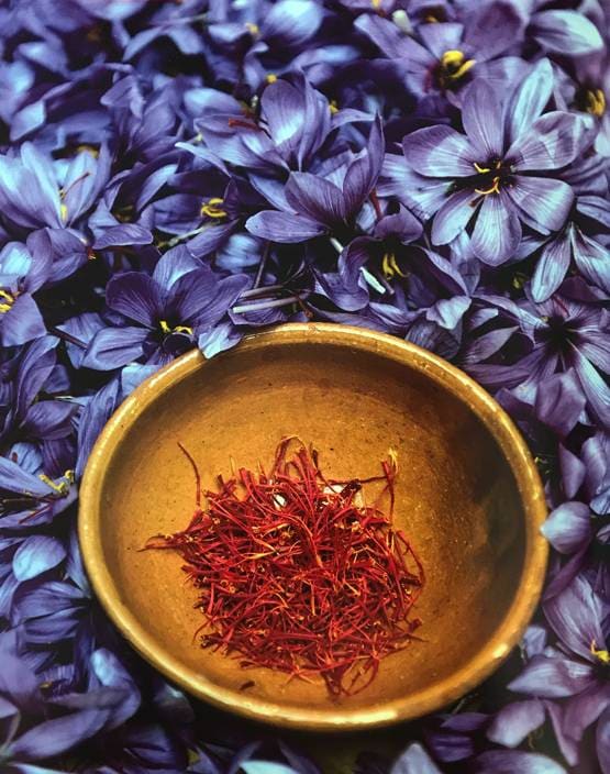 पुस्तक समीक्षा: फूलों से महकती भारतीय संस्कृति की कहानी है ‘फ्लावर शॉवर’