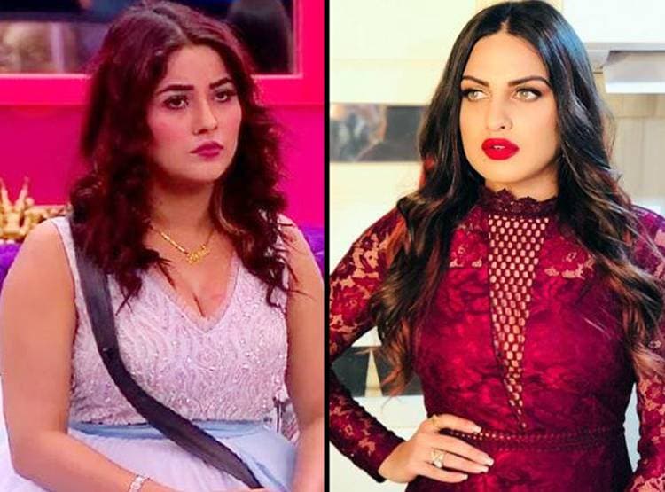 हिमांशी ने कहा, शहनाज-सिद्धार्थ के बीच नहीं प्यार, कैमरा एंगल का है कमाल