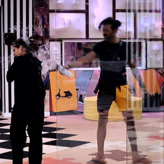 इस चीज से डरकर विशाल ने बदला बिग बॉस हाउस छोड़ने का फैसला