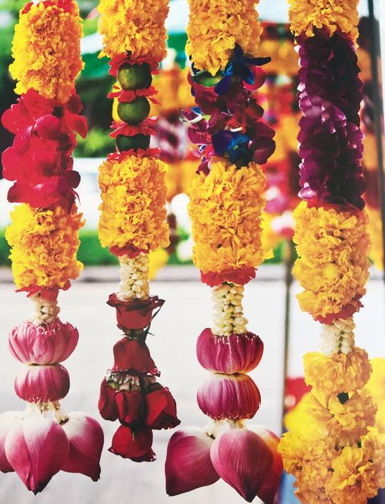 पुस्तक समीक्षा: फूलों से महकती भारतीय संस्कृति की कहानी है ‘फ्लावर शॉवर’