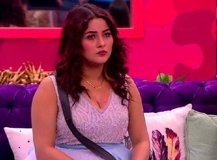 शहनाज पर भड़के सलमान, कहा- खुद को कटरीना समझने लग गई क्या?