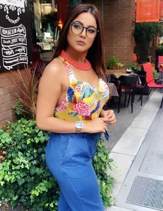 सिद्धार्थ को शहनाज का धमकी भरा प्रपोजल, 'I Love You बोल, सबको फाड़ दूंगी'