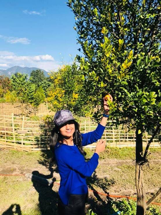 मेन्स के वक्त हुआ वायरल, तैयारी पर था यकीन, बिना कोचिंग बनीं टॉपर